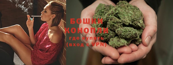 ALPHA PVP Осинники