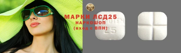 ALPHA PVP Осинники