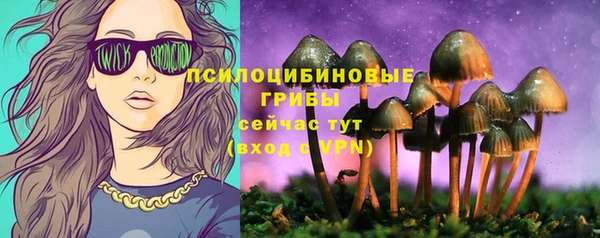 ALPHA PVP Осинники
