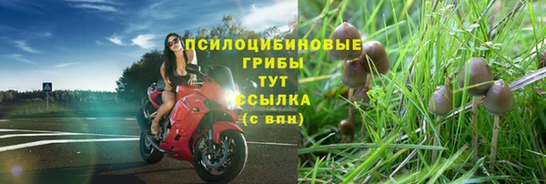гашиш Няндома