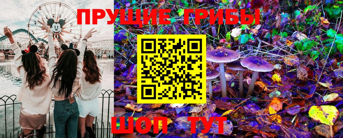 Псилоцибиновые грибы Psilocybe  Ступино  Галлюциногенные грибы Magic Shrooms 