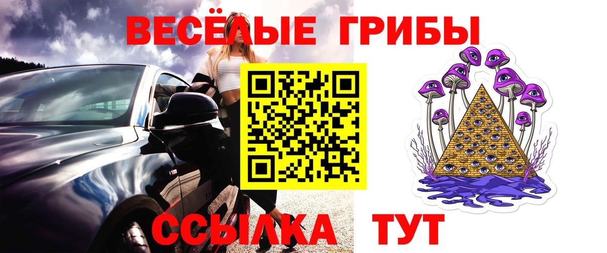 Псилоцибиновые грибы Psilocybine cubensis  Вход с VPN  Ступино 