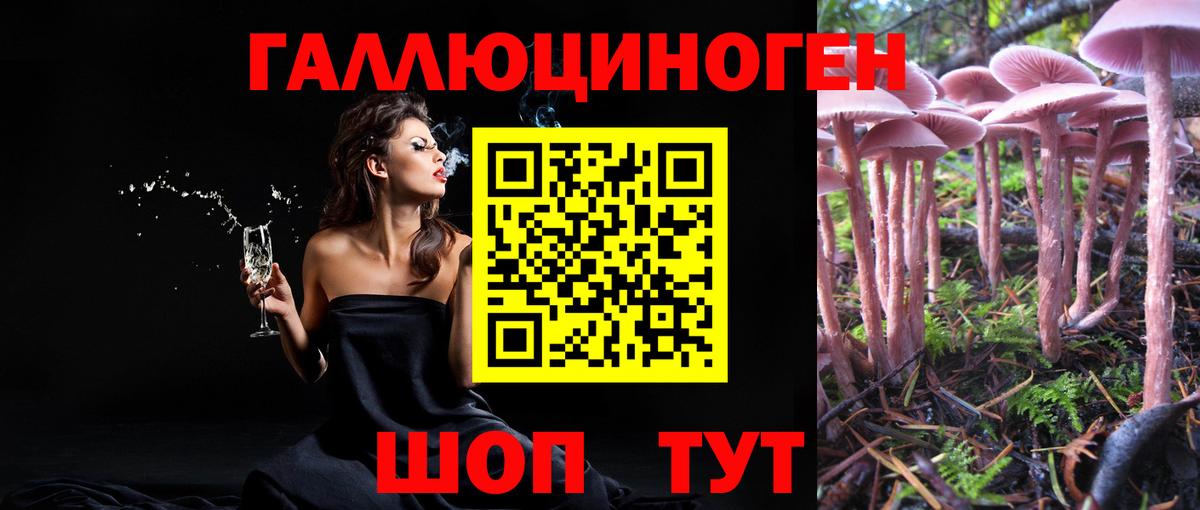 Псилоцибиновые грибы Magic Shrooms Ступино